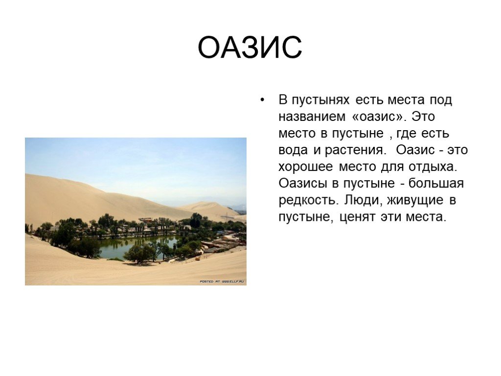 Урок 4 класс пустыни. Оазисы презентация. Оазис доклад 4 класс. Оазис в пустыне презентация. Как называется в пустыне место где есть вода и растительность.