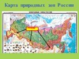 Карта природных зон России. СТЕПИ