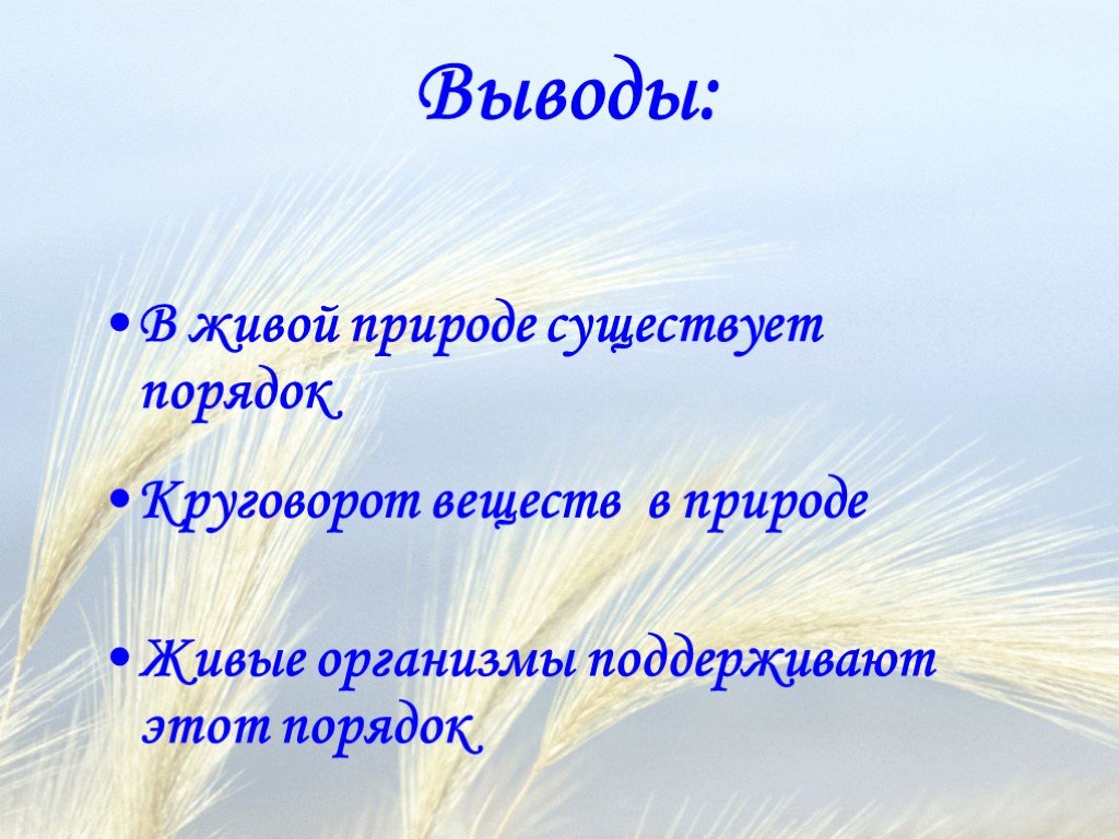 Вопросы на тему природа. Вывод живой природы. Порядок в природе. Человек существует по правилам природы. Химия в живой природе презентация.