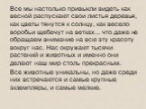 Все мы настолько привыкли видеть как весной распускают свои листья деревья, как цветы тянутся к солнцу, как весело воробьи щебечут на ветках... что даже не обращаем внимание на всю эту красоту вокруг нас. Нас окружают тысячи растений и животных и именно они делают наш мир столь прекрасным. Все живот