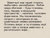 Животный мир нашей планеты необычайно разнообразен. Любая среда обитания – будь то океаны, леса, пещеры и воздушное пространство – населена тысячами форм жизни. Мы познакомились сегодня с некоторыми из них, удивляющих своими размерами. Оглянись вокруг и ты откроешь ещё много тайн и загадок животного