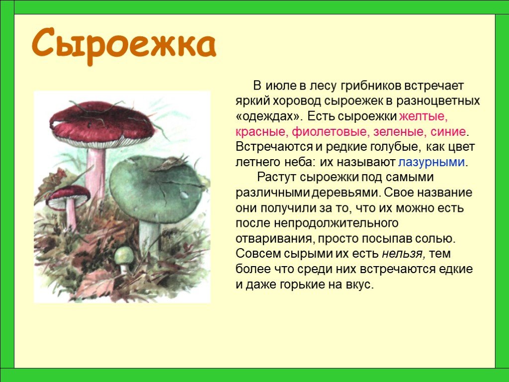 Информация про грибы. Сообщение о грибе Снегоежка 3 класс окружающий мир. Рассказ о грибе сыроежка. Гриб сыроежка доклад 2 класс. Доклад про грибы.