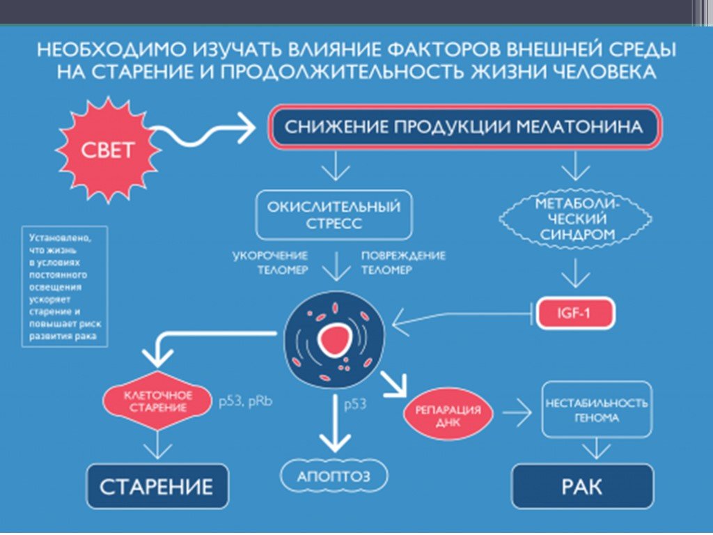 Изучение факторов. Внешние факторы влияющие на старение. Влияние внешней среды на организм человека. Влияние внешних факторов на человека.