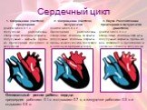 Сердечный цикл. 1. Сокращение (систола) предсердий Длится около 0.1 с. Желудочки расслаблены, створчатые клапаны открыты, полулунные – закрыты. Кровь из предсердий поступает в желудочки. 2. Сокращение (систола) желудочков Длится около 0.3 с. Предсердия расслаблены, створчатые клапаны закрыты, полулу