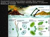 Биохимические гипотезы (жизнь возникла в условиях Земли в результате процессов, подчиняющихся физическим и химическим законам, т.е. в результате биохимической эволюции).
