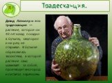 Традесканция. Дэвид Латимер и его традесканция — растение, которое он 40 лет назад посадил в бутылку, закупорил и ни разу не открывал. В бутылке образовалась экосистема, в которой растение само ухаживает за собой, производит кислород и питается перегноем.