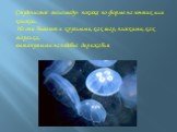 Студенистое тело медуз похоже по форме на зонтик или колокол. Но они бывают и круглыми, как шар, плоскими, как тарелка, вытянутыми наподобие дирижабля.