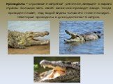 Крокодилы – огромные и свирепые рептилии, живущие в жарких странах. Большую часть своей жизни они проводят в воде. Когда крокодил плывёт, над водой видны только его глаза и ноздри. Некоторые крокодилы в длину достигают 6 метров.