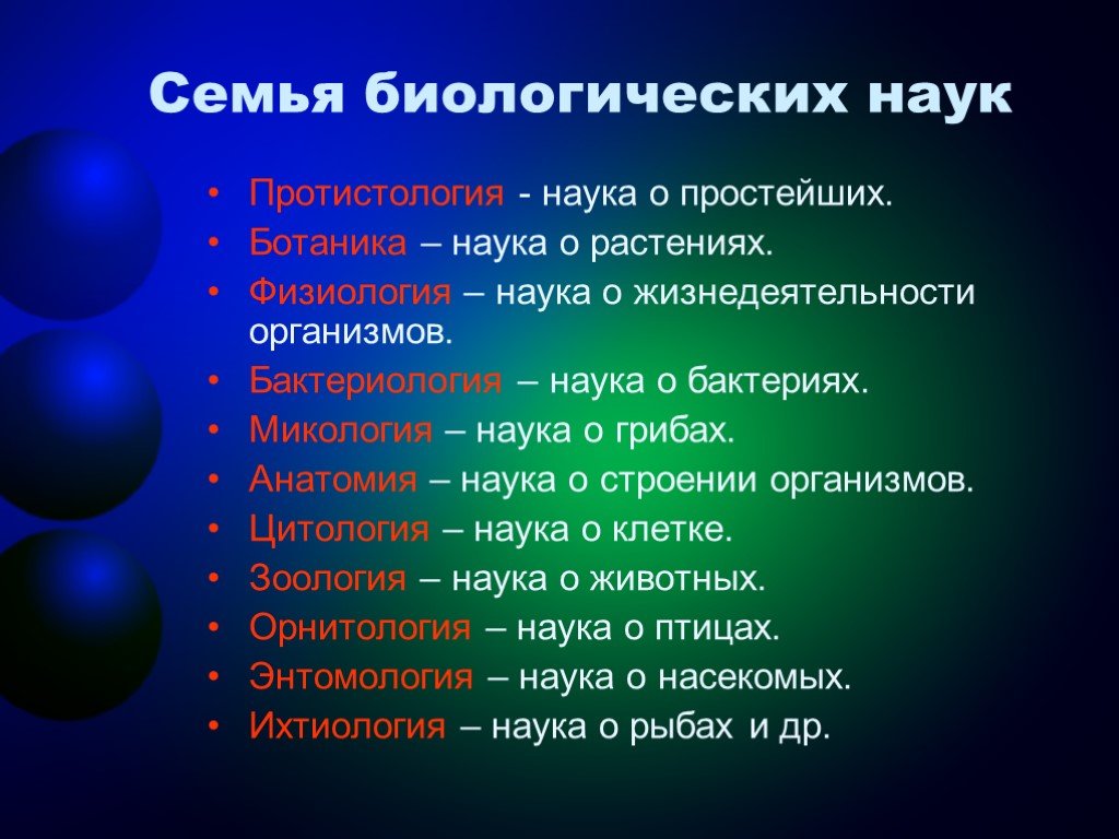 Схема биологические науки