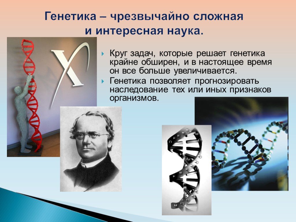 История становления генетики как науки презентация. Генетика презентация. Генетика это наука о. Презентация по генетике. Презентация на тему генетика.