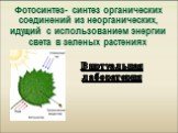 Фотосинтез- синтез органических соединений из неорганических, идущий с использованием энергии света в зеленых растениях. Виртуальная лаборатория