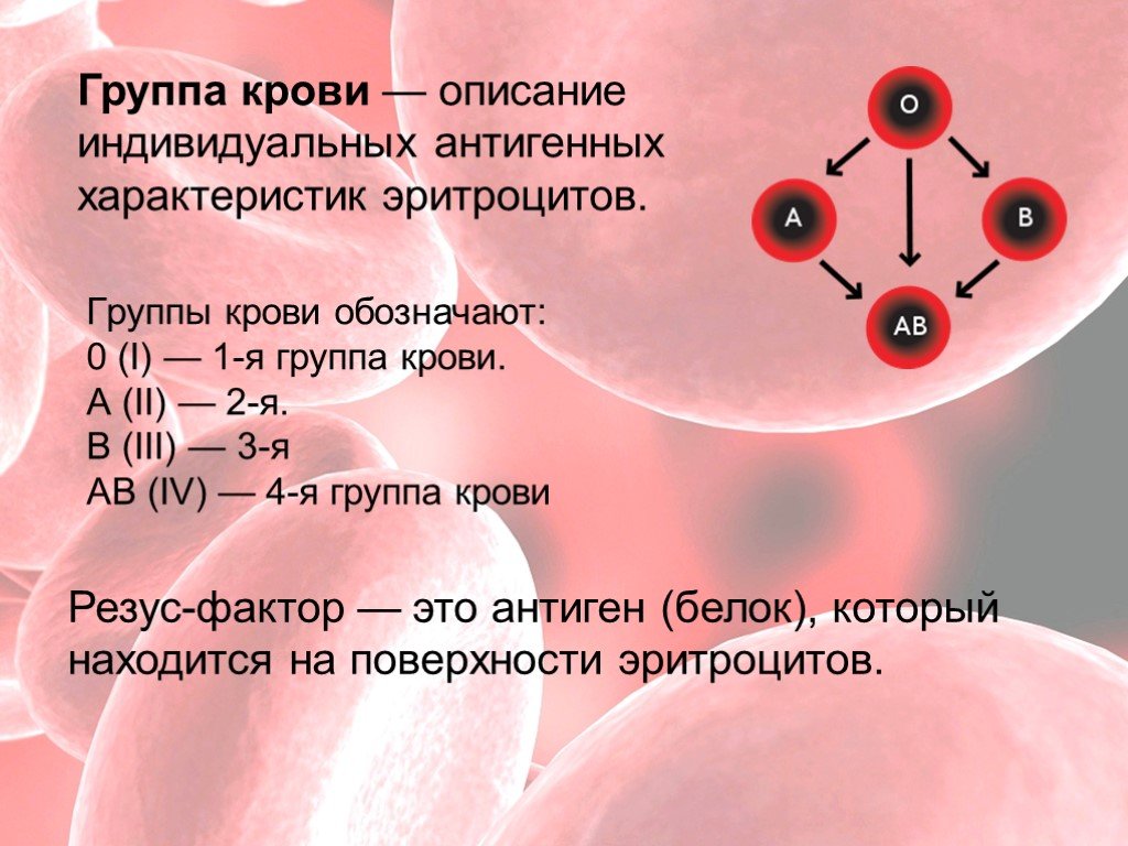 Эритроциты донора. Резус фактор 1 группы крови. Резус фактор 2 группы крови. Группа крови IV(ab) резус-фактор (rh) положительный. Резус фактор антиген 4 группы крови.