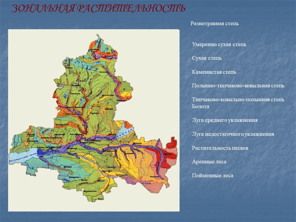 Растительности карта ростовской области