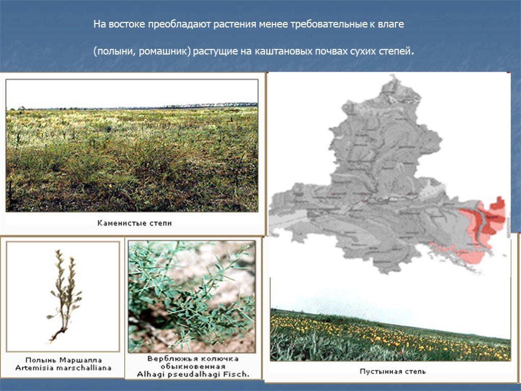 География 9 класс презентация хозяйство северного кавказа