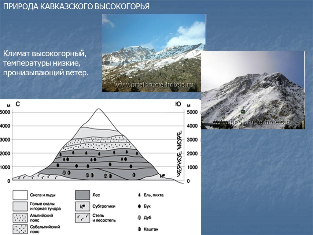 Особенности природы высокогорий. Климат высокогорий. Природа высокогорья. Климат в горах Кавказа. Кавказские горы климат.