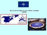 Организация Северо-Атлантического договора (НАТО)