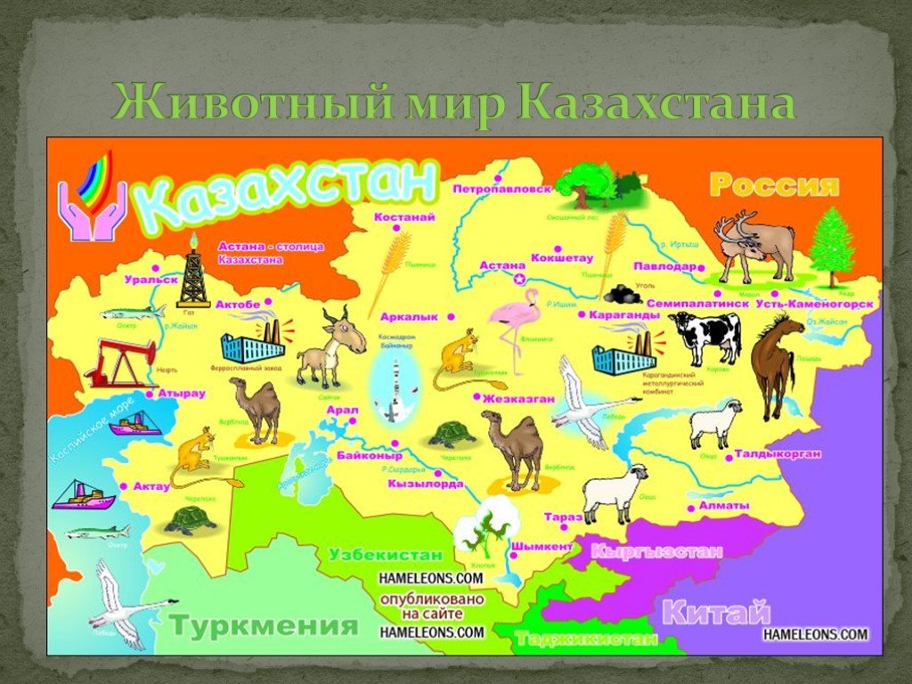 Проект по окружающему миру на тему страны мира казахстан