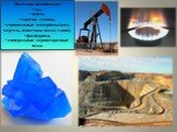 Полезные ископаемые: • газ, • нефть, • горючие сланцы, • строительные материалы (мел, мергель, известняк, песок, глина), • фосфориты, • минеральные сероводородные воды.