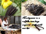 Madagascar is a vanilla most large exporter in the world market