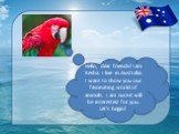 Hello, dear friends! I am Kesha. I live in Australia. I want to show you our fascinating world of animals. I am sure it will be interested for you. Let’s begin!
