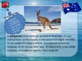 A kangaroo is the national symbol of Australia. It’s an animal that carries babies in the pouch for eight months. It can weigh 85 kilogrammes. A kangaroo moves by hopping on its strong hind legs. To balance its body while hopping, a kangaroo uses its thick long tail. Kangaroos can hop up to 74 km pe