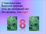 У подножья ивы Выросла крапива. Хоть ее противней нет, Это восемь, или eight. 8