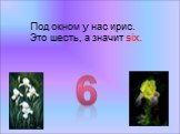 6. Под окном у нас ирис. Это шесть, а значит six.