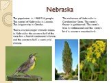 The population is 1,868,516 people. The capital of Nebraska is Lincoln. The largest city is Omaha. There are two major climatic zones in Nebraska: the eastern half of the state has a humid continental climate, and the western half, a semi-arid climate. The nickname of Nebraska is Cornhusker State. T