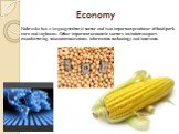Economy. Nebraska has a large agricultural sector and is an important producer of beef, pork, corn and soybeans. Other important economic sectors include transport, manufacturing, telecommunications, information technology and insurance.
