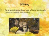 Donkey. As at a nickname there was a friend or simply cheerful satellite the Donkey.