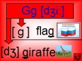 [dʒ] [ｇ] Gg [dʒi:] flag giraffe