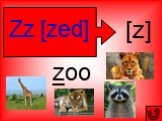 Zz [zed] [z] zoo