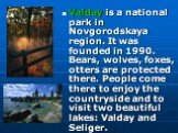 Valday is a national park in Novgorodskaya region. It was founded in 1990. Bears, wolves, foxes, otters are protected there. People come there to enjoy the countryside and to visit two beautiful lakes: Valday and Seliger.
