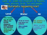 Land, air, water are important for flowers, trees, animals, birds, fish and people. But what’s happening now? Air Water Land. A lot of rivers and lakes are polluted Sea animals are hurt. Air pollution is not reduced Global warming is caused by the greenhouse effect. The forests are cut down When the