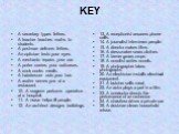 KEY. A secretary types letters. A teacher teaches maths to students. A postman delivers letters. An optician tests your eyes. A mechanic repairs your car. A porter carries your suitcases. A cook cooks meals. A hairdresser cuts your hair. A waiter serves you at a restaurant. 10. A surgeon performs op
