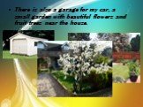 There is also a garage for my car, a small garden with beautiful flowers and fruit trees near the house.