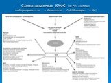 Схема патогенеза КАФС (по RA Asherson, модифицированная и дополненная А.Д.Макацария и др.)