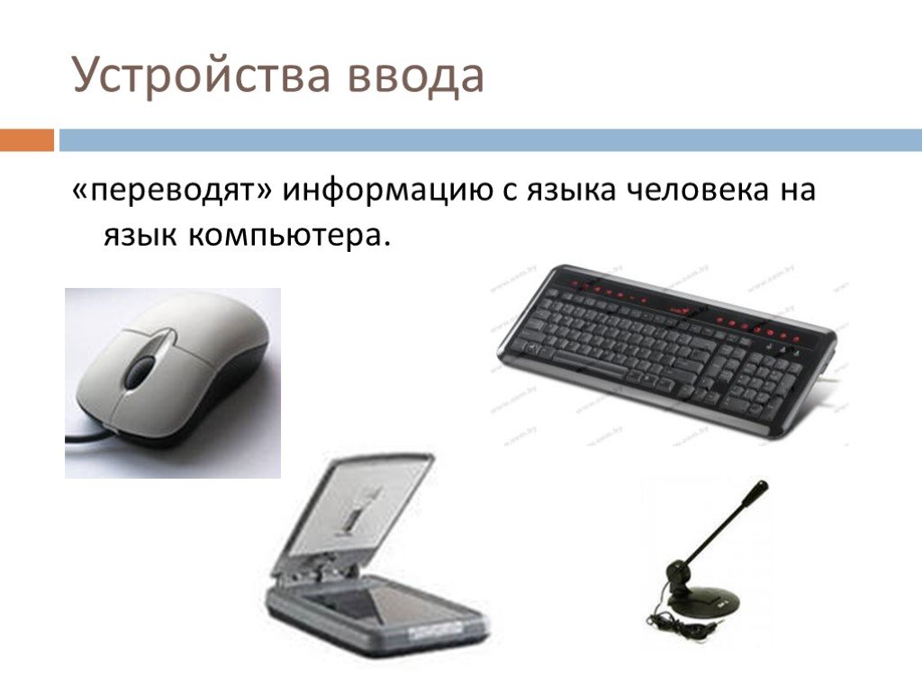 Универсальное устройство информации. Устройства ввода. Устройства ввода компьютера. Устройство ввода компьютера перечислить. Перечислите устройства ввода информации.