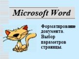 Microsoft Word. Форматирование документа. Выбор параметров страницы.