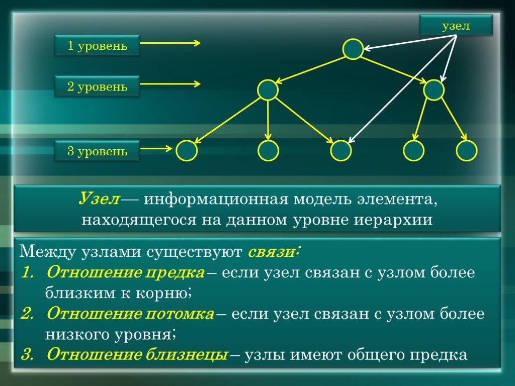Уровень форма связи. Сетевая модель. Элементы сетевой модели. Иерархическая модель сетевая модель. Элемент данных в сетевой модели.