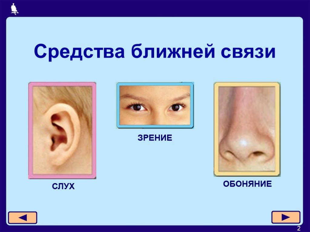 Слух зрение речь. Речь слух зрение. Средства ближней связи. \Взаимосвязь слуха и зрения презентация. Первоначальные средства связи вблизи слух зрение.