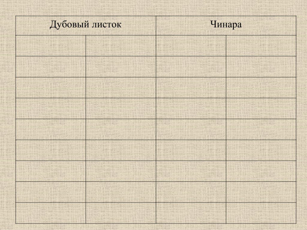 Анализ стихотворения листок 6 класс. Листочек Лермонтов. Таблица листок и Чинара. Листок 6 класс. Характеристика листок и Чинара.