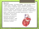 Введение Миокардиодистрофия (myocardiodystrophia; греч. mys, myos мышцы + kardia сердце + дистрофия, синоним дистрофия миокарда) — группа вторичных поражений сердца, основой которых являются не связанные с воспалением, опухолью или первичной дегенерацией (отложением продуктов патологического синтеза