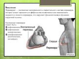 Введение Перикардит — воспаление висцерального и париетального листков перикарда, которое может проявляться фиброзными изменениями или накоплением жидкости в полости перикарда, что нарушает физиологическую функцию сердечной мышцы. Воспаление перикарда может быть: инфекционное, инфекционно-аллергичес