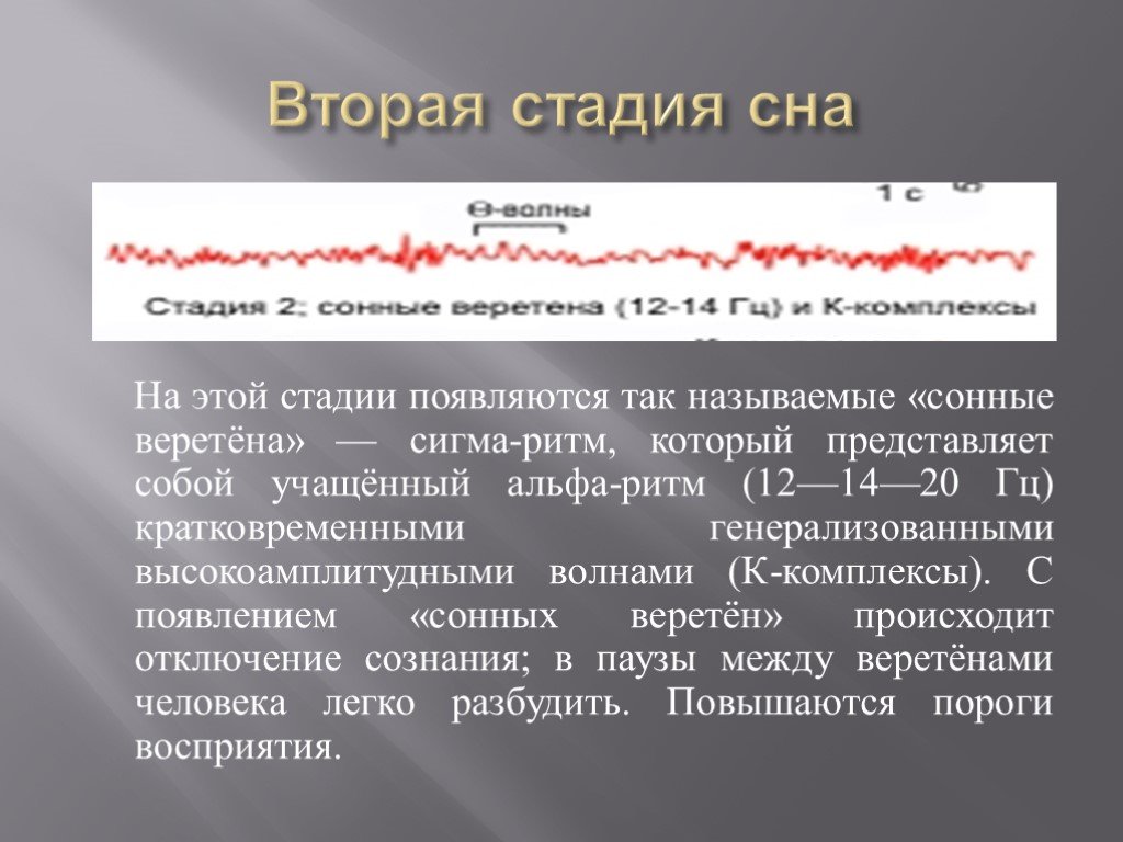 Что означает во сне длинные. Фазы сна физиология. Фазы и стадии сна физиология. Медленный сон физиология. Стадия сонных веретен.