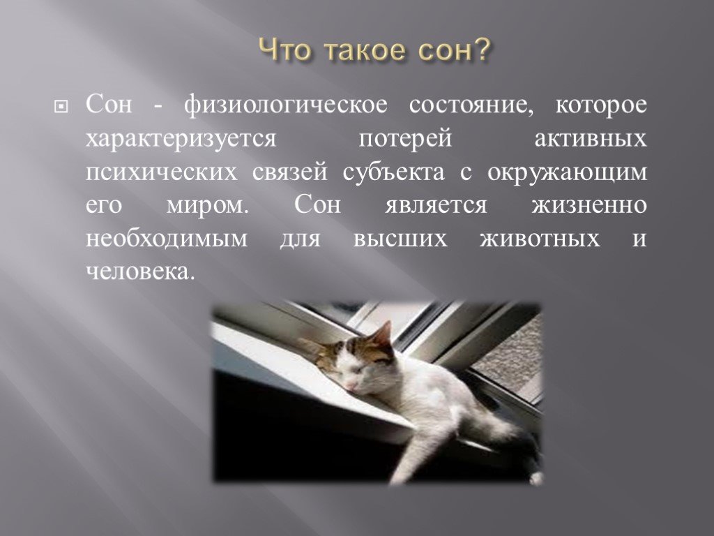 Что такое сон. Про сон. Сон это кратко. Физиология сна презентация. Сон презентация.