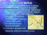 ЛЕПТОСПИРОЗ. Острое инфекционное заболевание из группы зоонозов, характеризующееся лихорадкой, симптомами общей интоксикации, поражением почек, печени, сердечно-сосудистой, нервной систем, геморрагическим синдромом Возбудитель – патогенные лептоспиры разных серогрупп: L. Icterohaemorrhagiae, Grippot