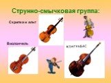 Струнно-смычковая группа: Скрипка и альт Виолончель