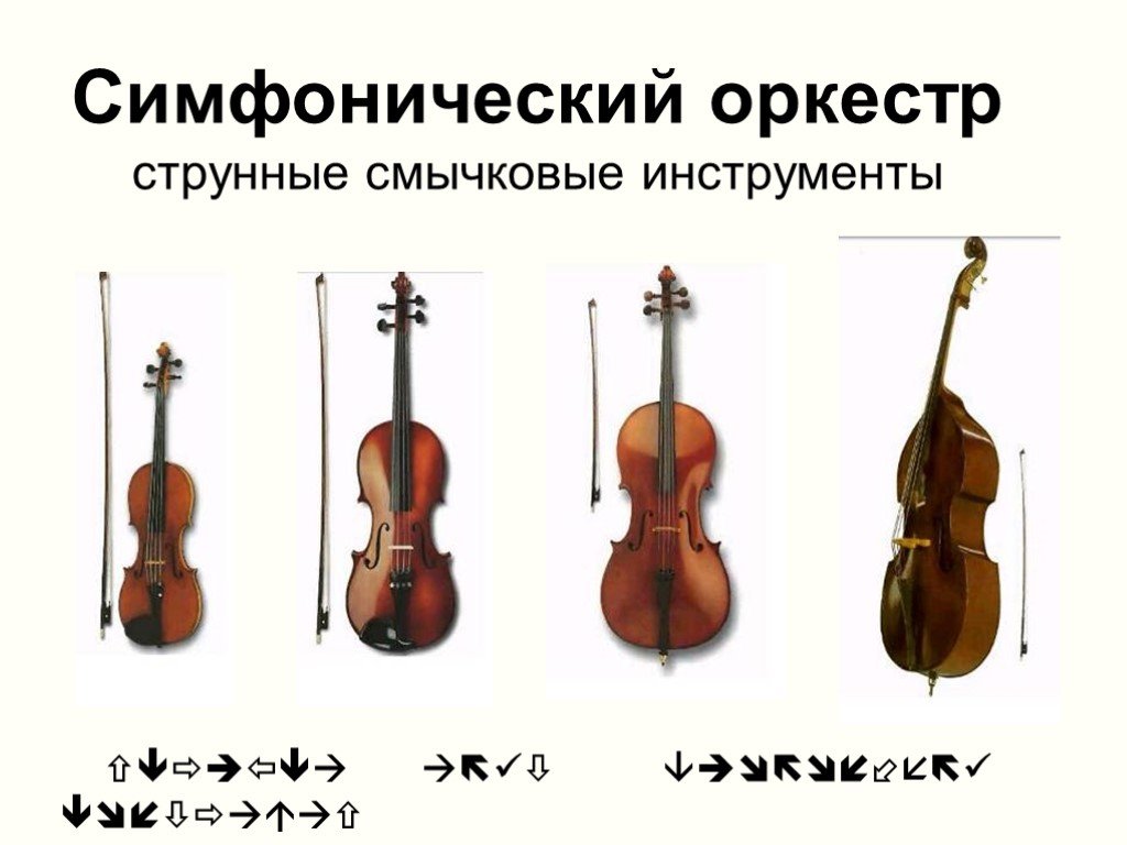 Контрабас и виолончель в чем разница фото