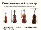 Симфонический оркестр струнные смычковые инструменты. скрипка альт виолончель контрабас